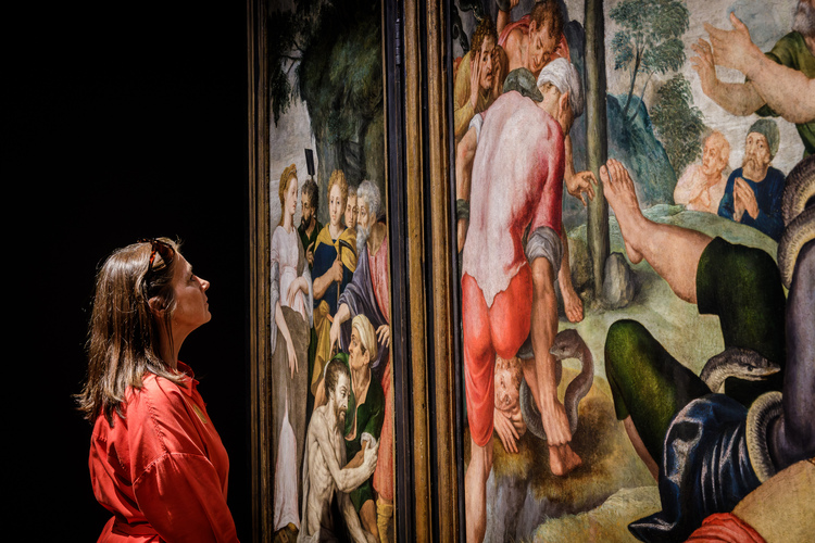 Bezoeker in rood hemd kijkt naar een groot schilderij.